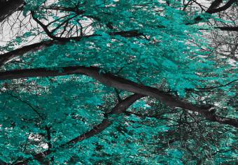 Cuadro decorativo Autumn in the Park (5 Parts) Narrow Turquoise
