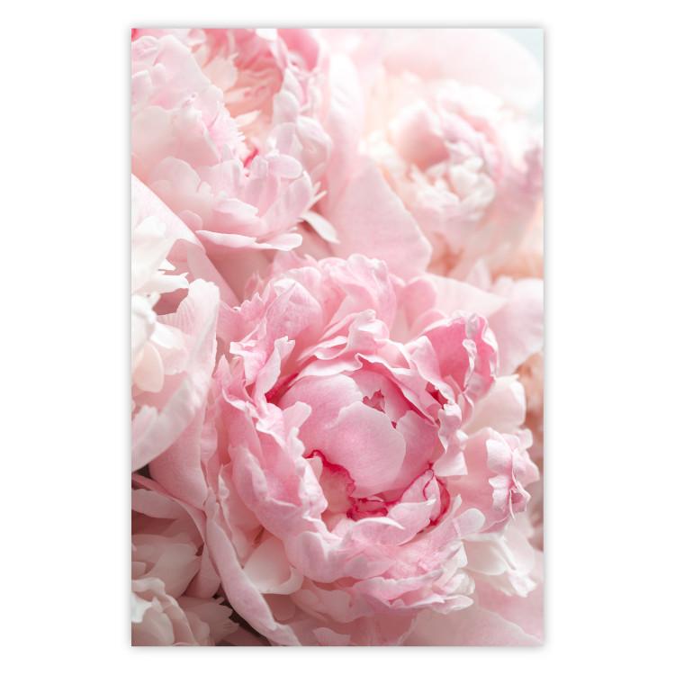 Nostalgia matutina - planta con flor rosa en tono pastel