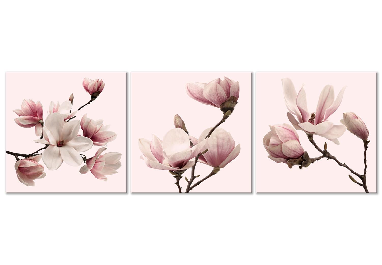 Cuadro Espectro rosa de la naturaleza (3 partes) - delicada flor de magnolia