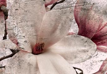 Cuadro moderno Textura floral de rosa (3 partes) - magnolias en un entorno rústico