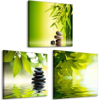 Cuadro Oriente Verde (3 partes) - Zen Exótico de Flores en la Naturaleza