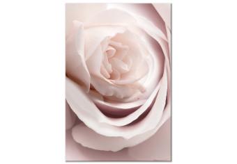 Cuadro moderno Encanto pastel (1 parte) - rosa floreciente en la naturaleza