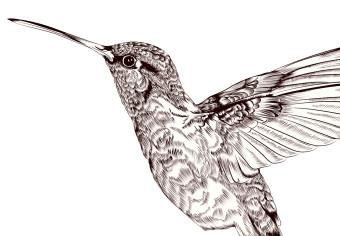 Cuadro decorativo Espacio de vida - letras negras en inglés y pájaro gráfico