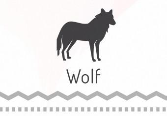 Cuadro decorativo Huellas de invierno - infografía con animales y leyendas en inglés