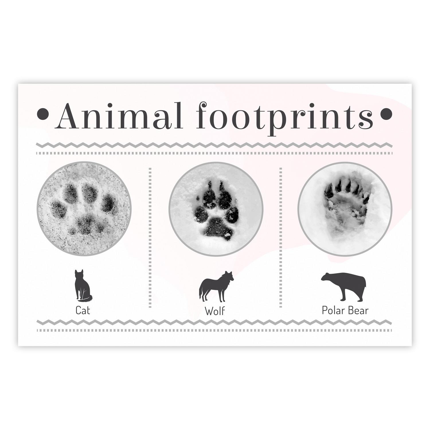 Póster Footprints [Poster]