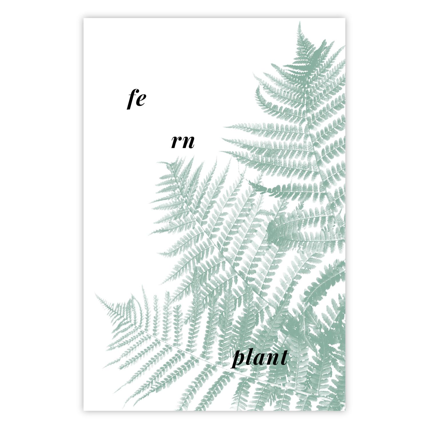 Poster Planta de Helecho - hoja verde con textos en inglés sobre fondo blanco