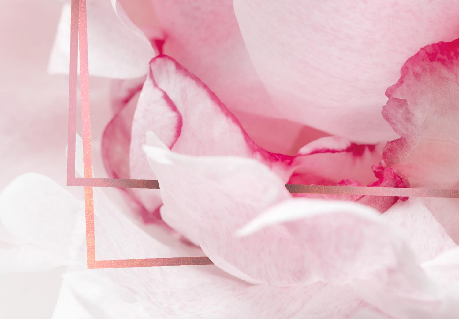 Póster Belleza efímera - figuras rectangulares y flores rosas a la luz