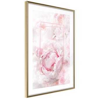 Belleza efímera - figuras rectangulares y flores rosas a la luz