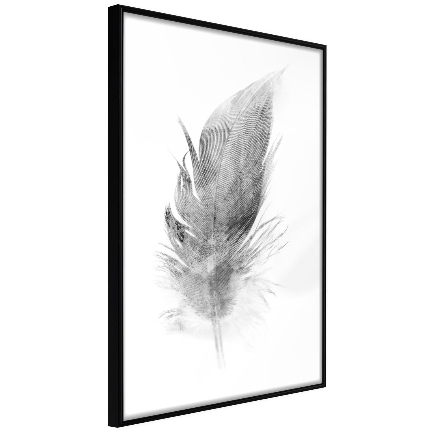Set de poster Efímero - boceto negro de pluma de ave sobre fondo blanco contrastante