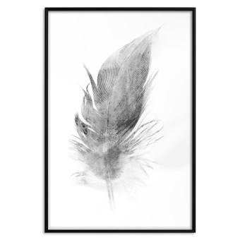 Set de poster Efímero - boceto negro de pluma de ave sobre fondo blanco contrastante