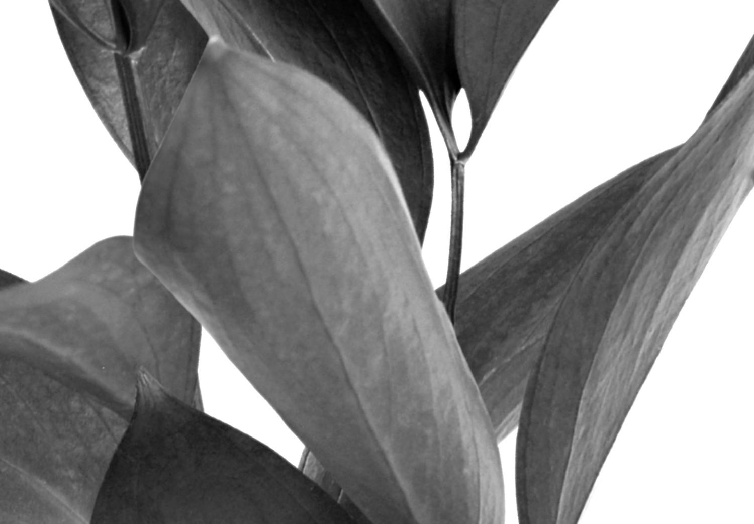 Cuadro Hojas y jarrones - una composición moderna con un motivo botánico
