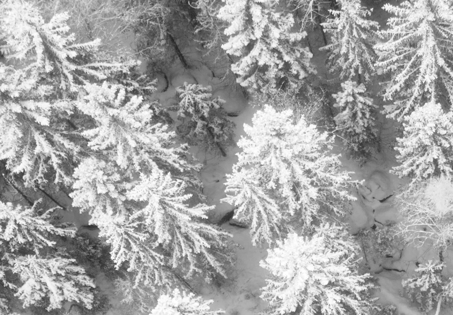 Cartel Arroyo frío - paisaje invernal en blanco y negro de un bosque nevado