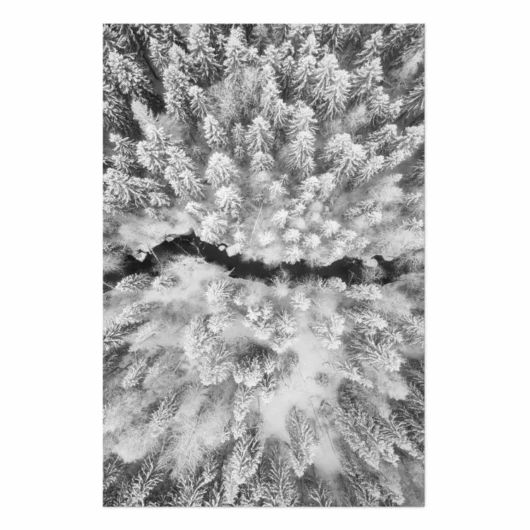 Cartel Arroyo frío - paisaje invernal en blanco y negro de un bosque nevado