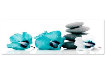 Cuadro decorativo Composición feng shui - piedras y flores azules sobre un fondo blanco