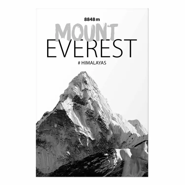 Cartel Mount Everest [Poster]