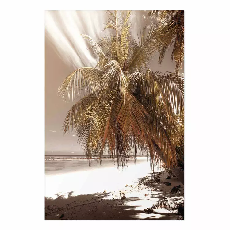 Póster Sombra de palmera - paisaje tropical (Playa, sepia)