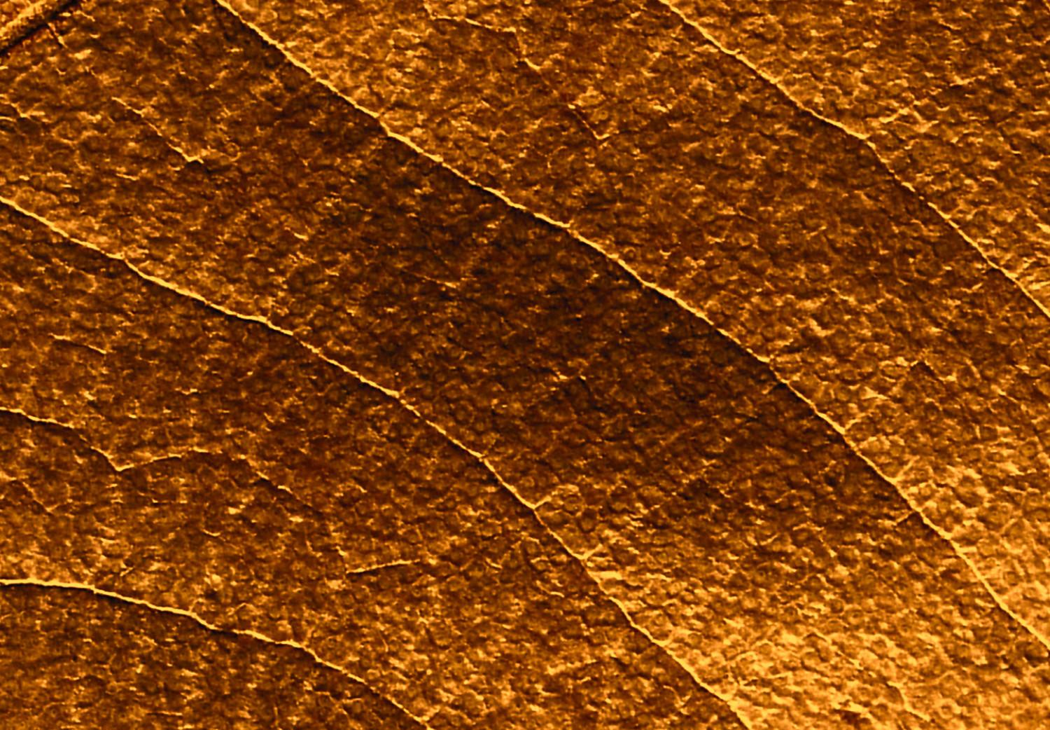 Cuadro Erosión de la hoja - fotografía en color dorado con motivo botánico