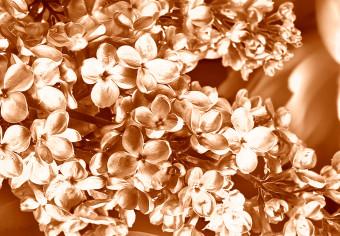 Cuadro moderno Flores de otoño en sepia - foto monocromática con un ramo de flores