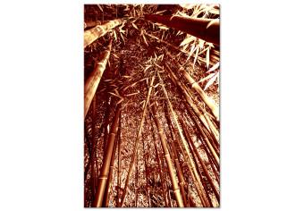 Cuadro decorativo Bosque de bambú en sepia - foto de naturaleza exótica con árboles