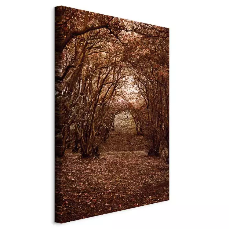 Corredor de árboles - paisaje otoñal de un camino en un bosque