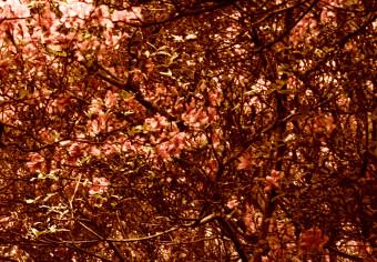 Poster Sueños cumplidos - paisaje otoñal de un bosque con hojas cayendo