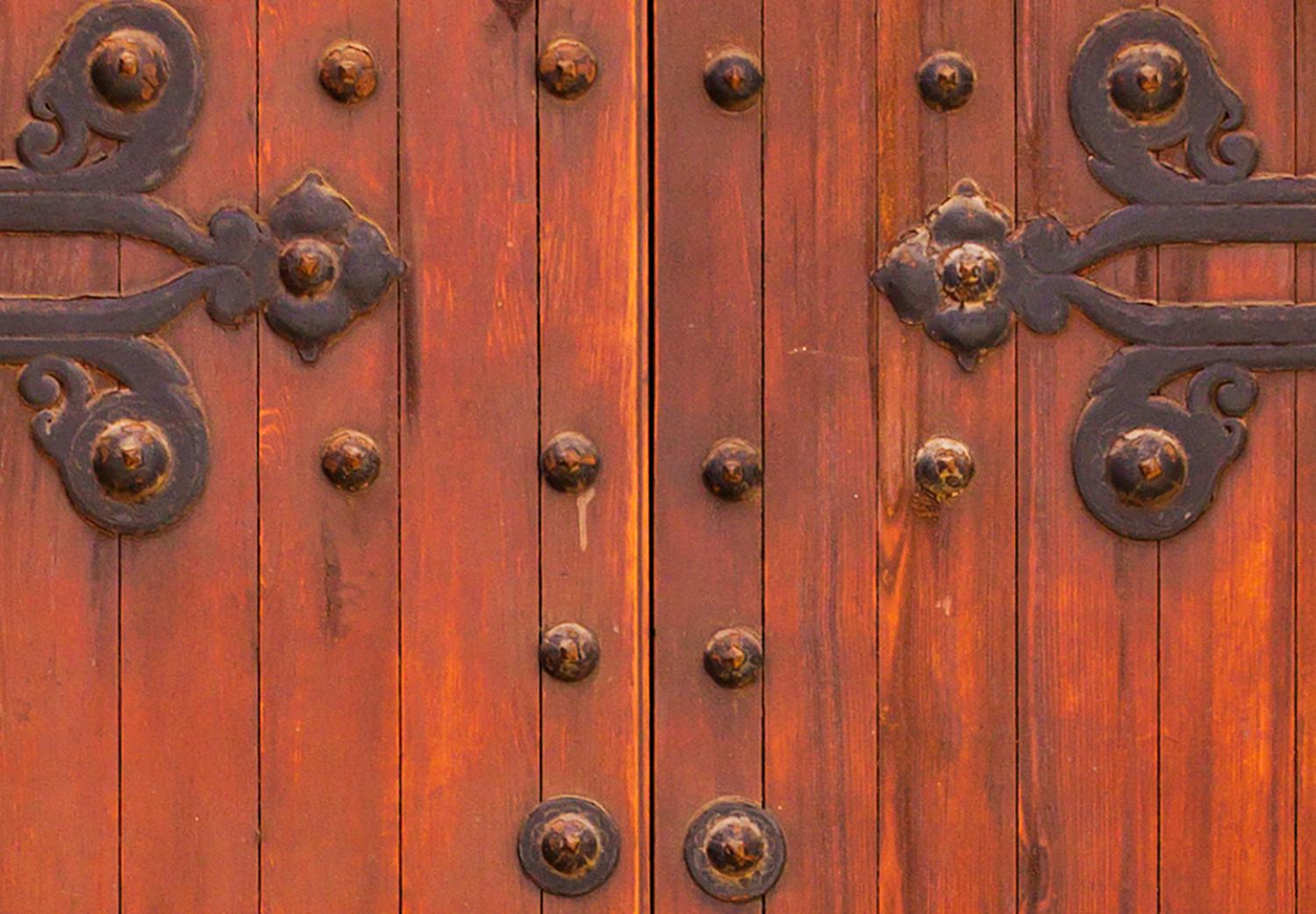 Cuadro Mysterious Door (1 Part) Vertical