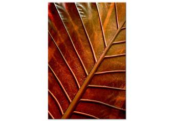 Cuadro Hoja de cobre - fotografía de una hoja de otoño en colores cálidos