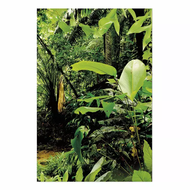 Póster Pulmones de la tierra - paisaje de jungla (Hojas verdes densas)