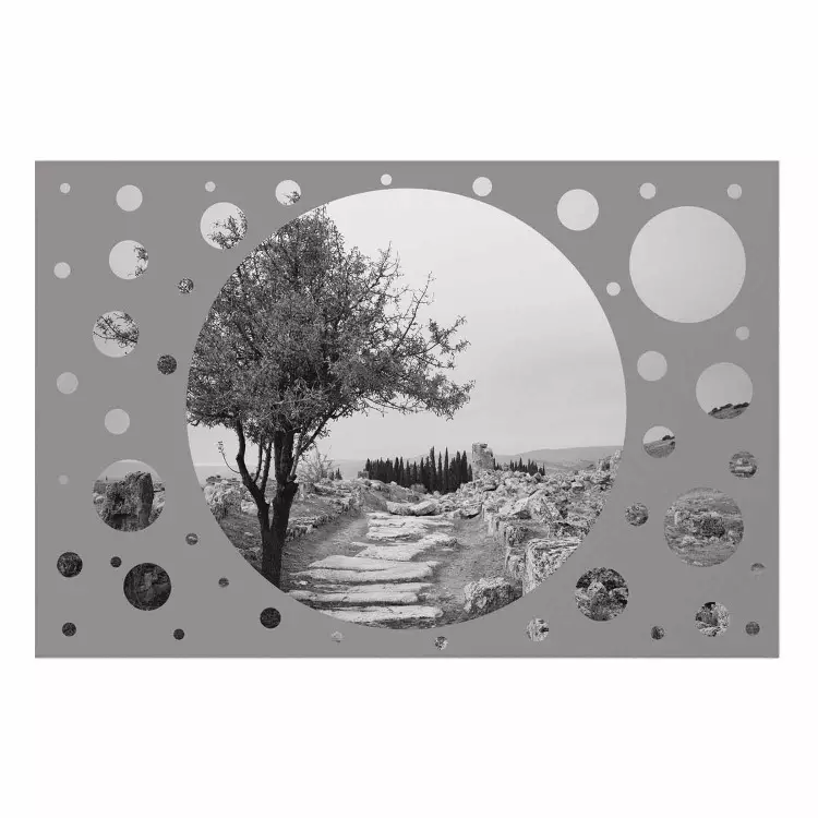Poster Hierápolis - paisaje en blanco y negro de árboles en un marco circular