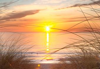Cuadro moderno Puesta de sol bajo la arcada - foto con mar, dunas y playa