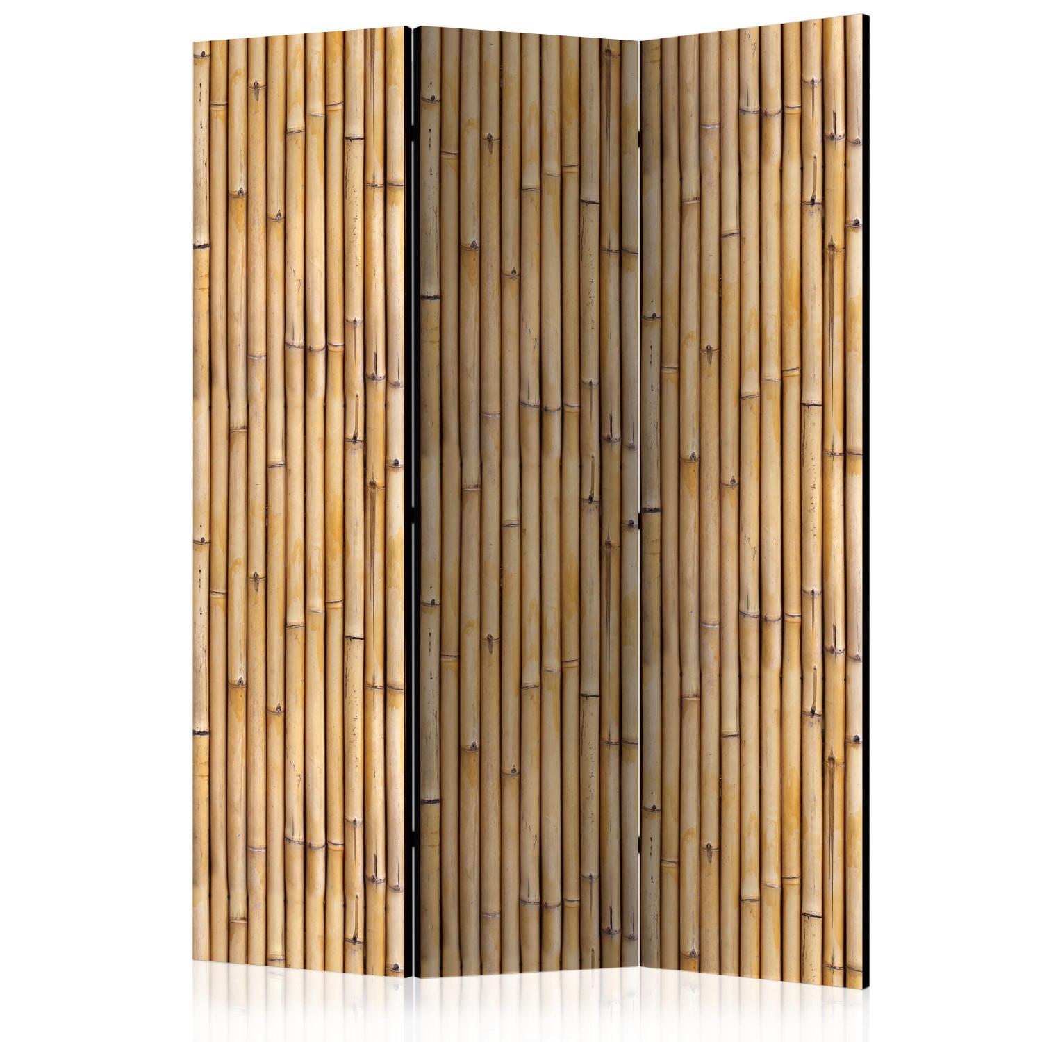 Biombo barato Muro amazónico (3 partes) - patrón marrón con motivos vegetales