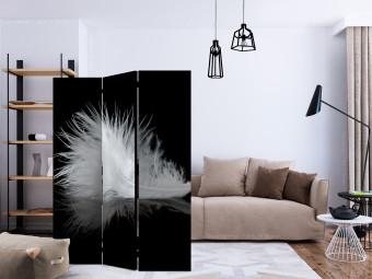 Biombo decorativo The Transience of the Moment [Room Dividers]