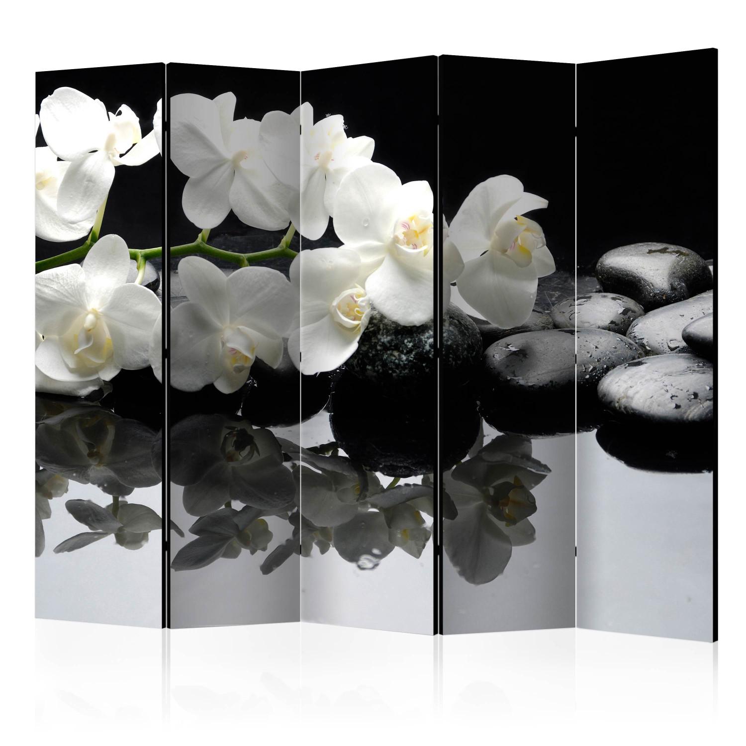 Biombo decorativo Spa, Stones and Orchid II [Room Dividers]