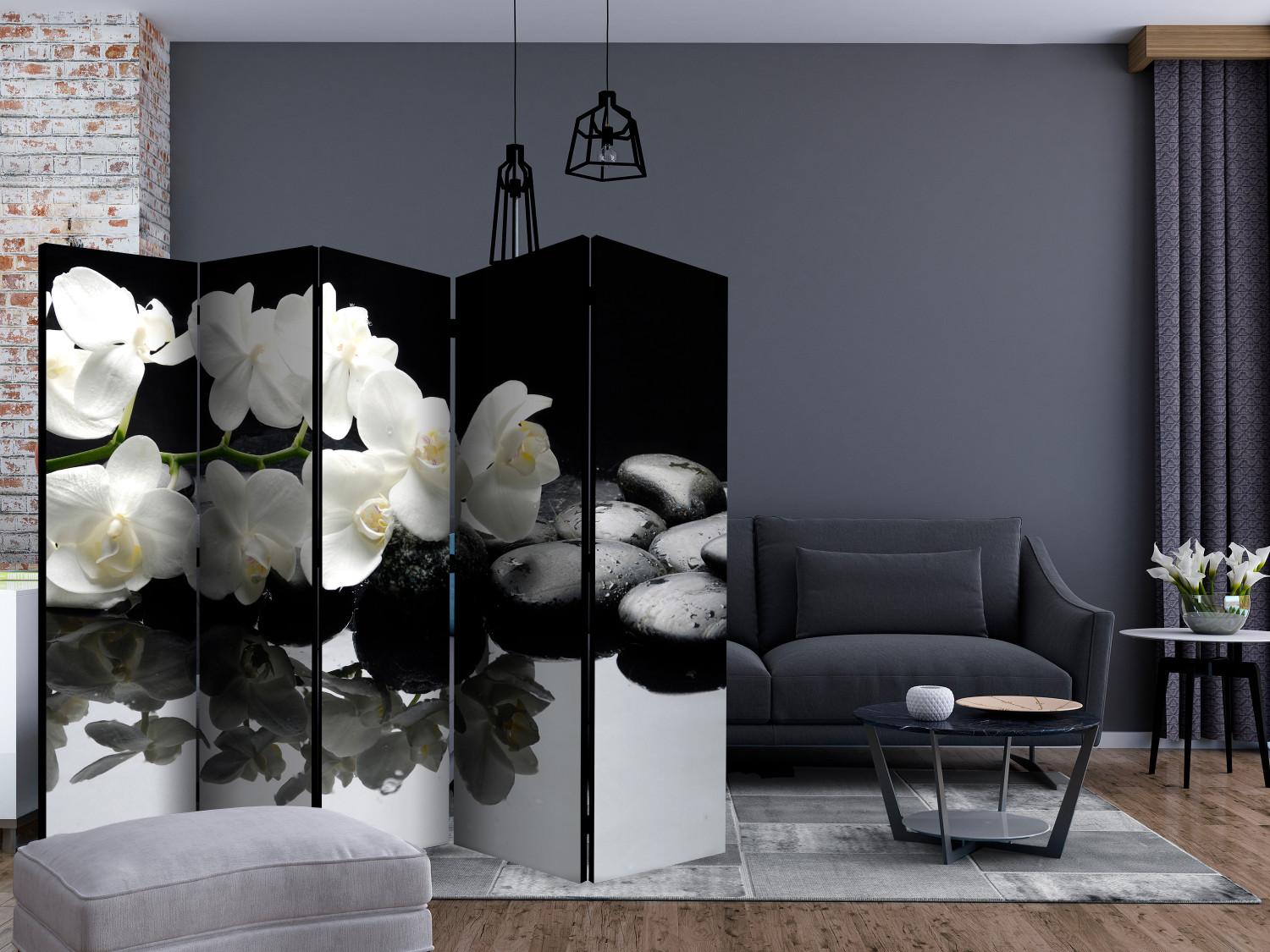 Biombo decorativo Spa, Stones and Orchid II [Room Dividers]