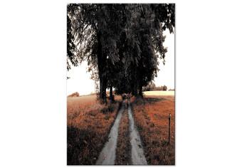 Cuadro decorativo Camino rural - paisaje de verano, campos, árboles y álamos