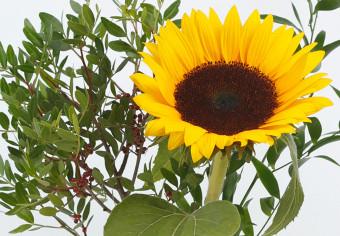 Cuadro moderno Sunflowers and Grasses (3 Parts)