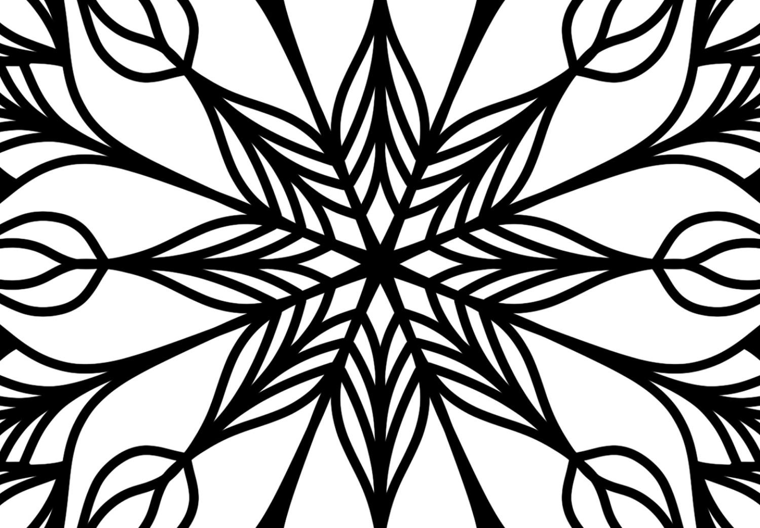 Cuadro decorativo Mandala mística - un motivo negro minimalista sobre un fondo blanco