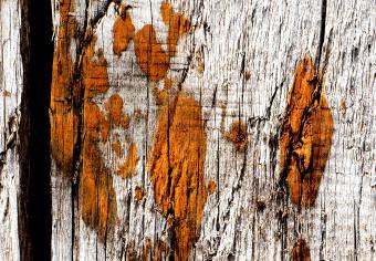 Cartel Historia atemporal - textura de tablas de madera con polvo marrón
