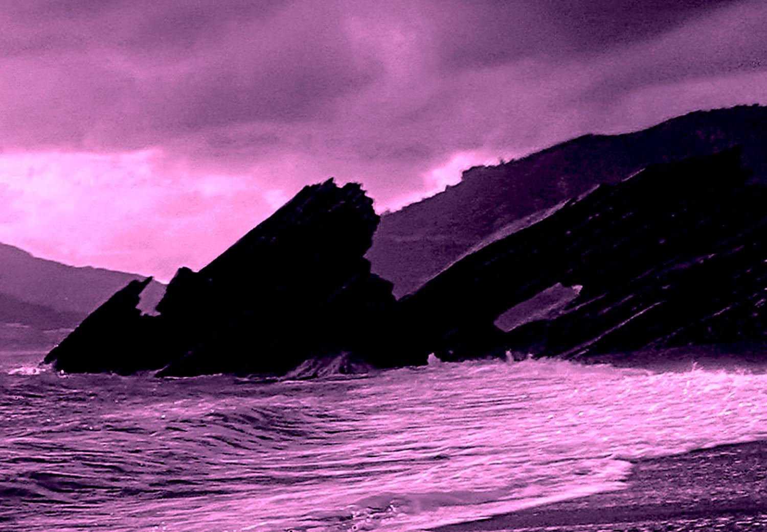 Cuadro Enchanted Ocean (1 Part) Wide Violet