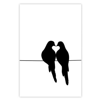 Poster Bird Love [Poster]