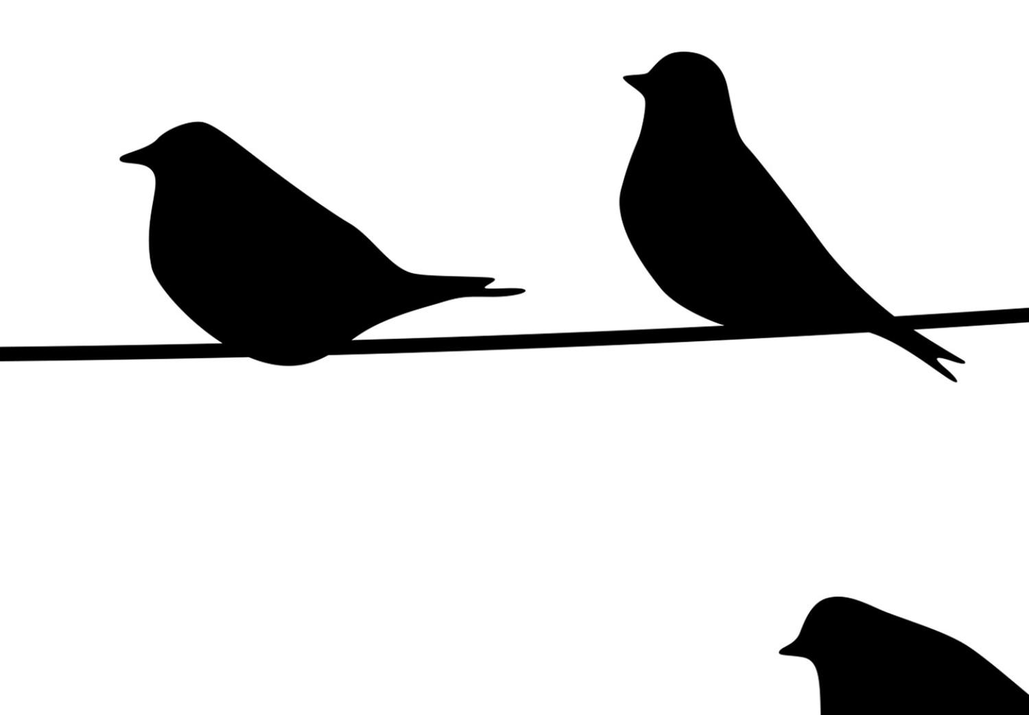 Cartel Familia de aves - aves en cable (Blanco y negro)