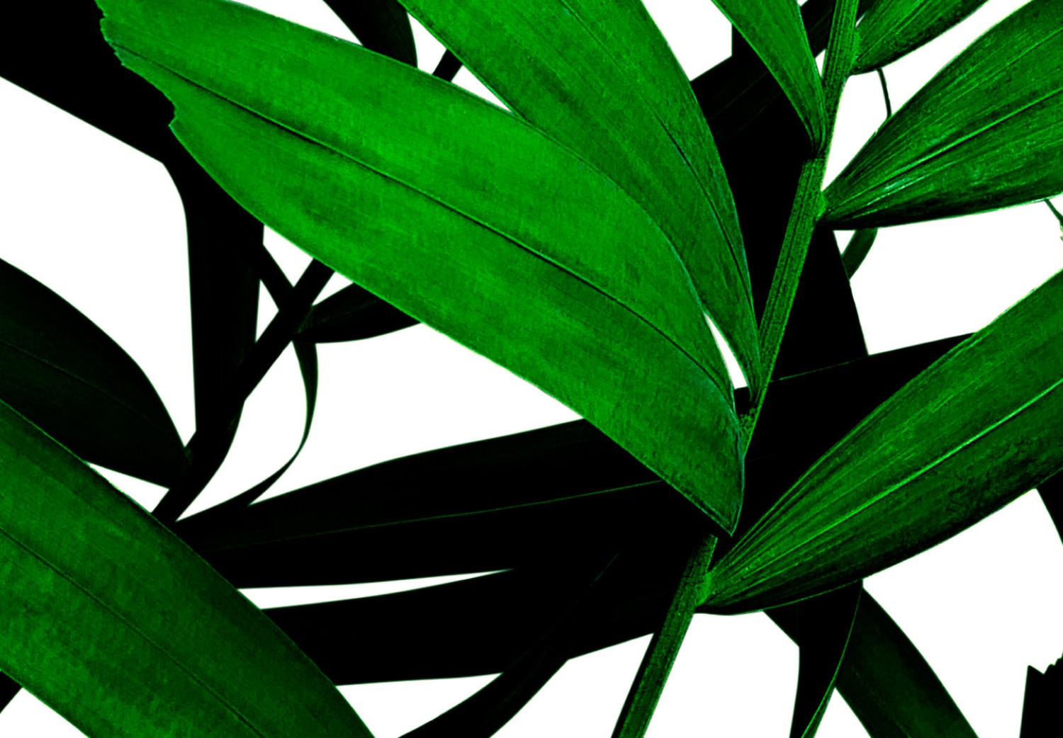 Cuadro decorativo Juicy Leaf (1 Part) Vertical