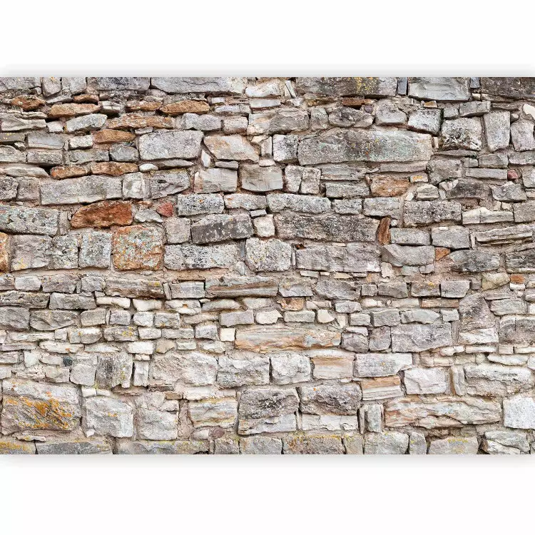 Muro real
