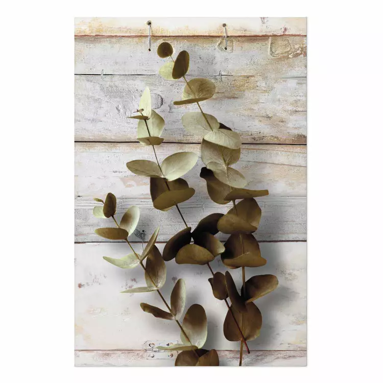 Cartel Amanecer de enero - planta con hojas marrones