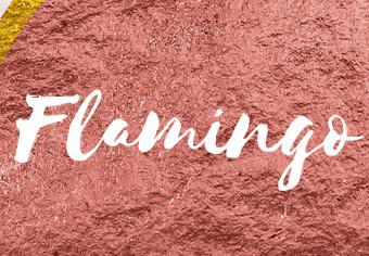 Cuadro Flamingo de pie sobre corazón invertido - pájaro con frase en inglés