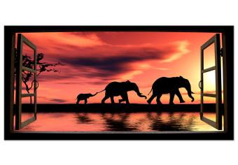 Cuadro XXL Evening Elephant Walk II [Large Format]