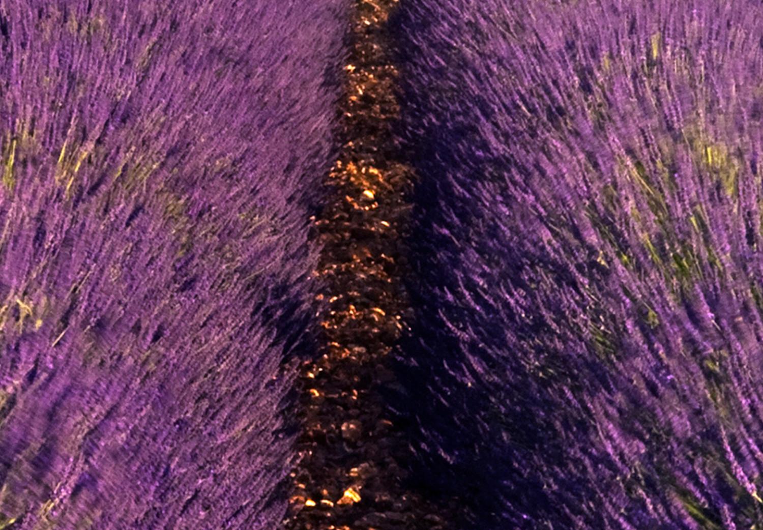 Cuadro XXL Lavender Field [Large Format]