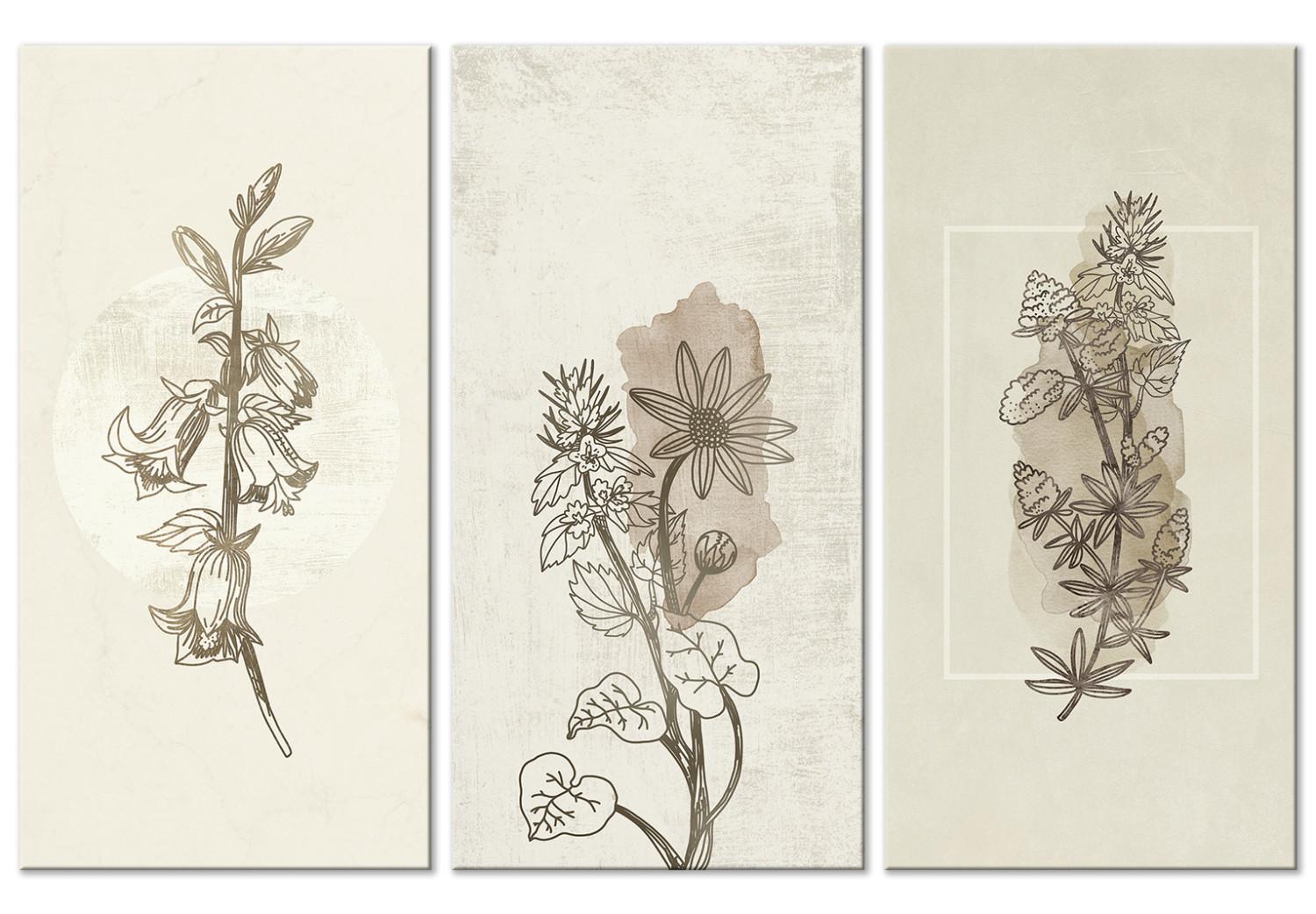 Cuadro decorativo Herbarium (3 Parts)
