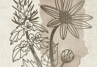 Cuadro decorativo Herbarium (3 Parts)