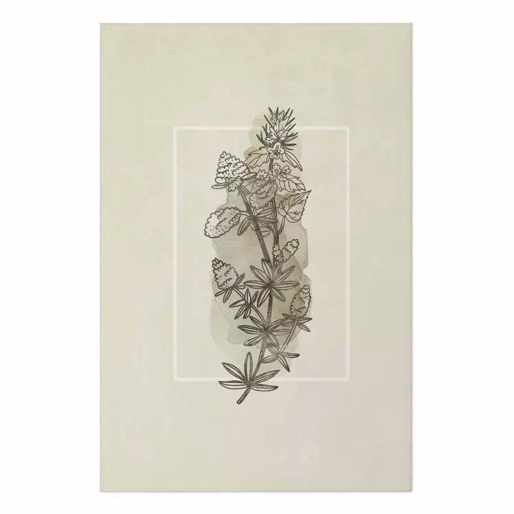 Set de poster Boceto campestre - planta con flores en estilo retro